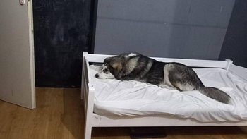 Zbiórka Transport dla Misi - miniaturka zdjęcia