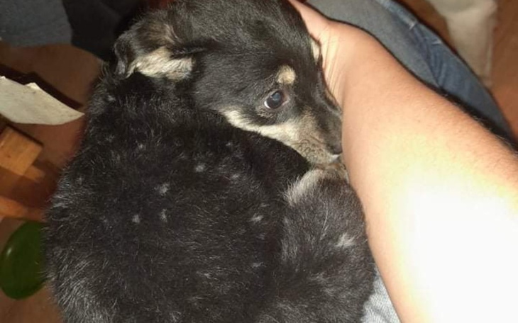 Zbiórka Znaleziona przy drodze - zdjęcie główne