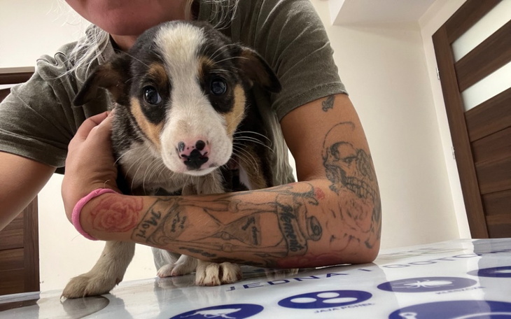 Zbiórka Wyrzucone w szczerym polu - zdjęcie główne