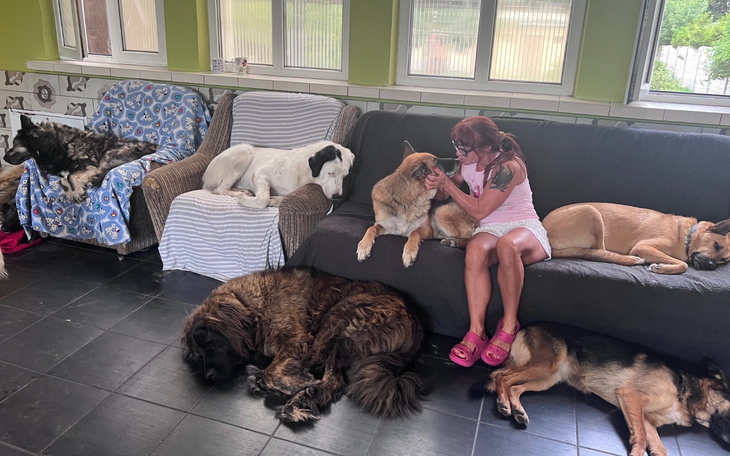 Kobieta przytulająca psa w otoczeniu innych psów na kanapie.