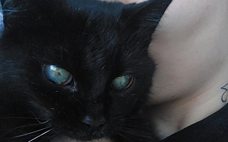 Zbiórka Zbiórka urodzinowa na puszki - zdjęcie główne