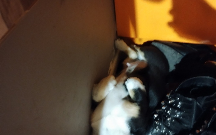 Zbiórka Dla odzyskania rownowagi - zdjęcie główne