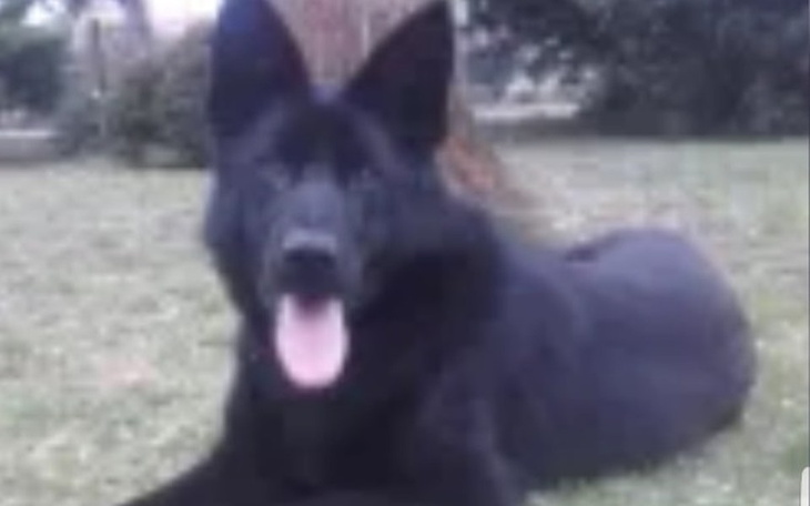 Zbiórka Na mop - zdjęcie główne