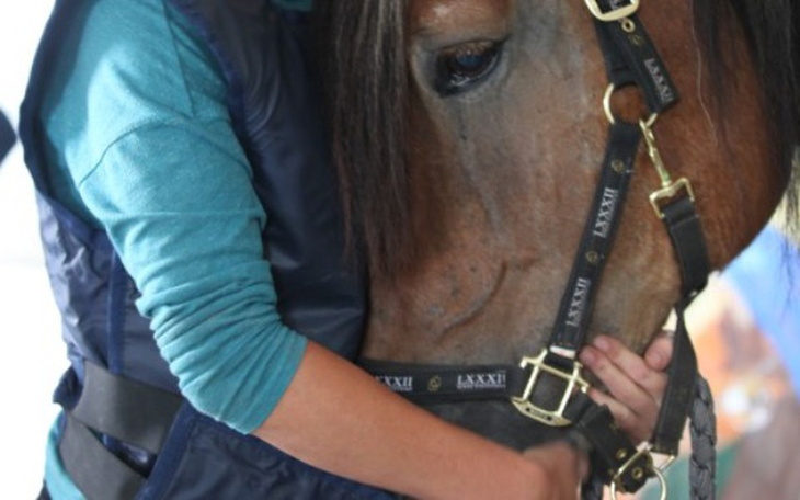 Osoba przytulająca konia, wyrażająca bliskość.
