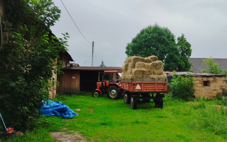 Zbiórka Zaległośc za siano - zdjęcie główne