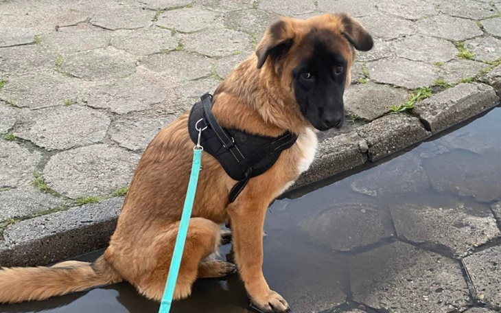 Zbiórka Pomoc dla Neli - zdjęcie główne