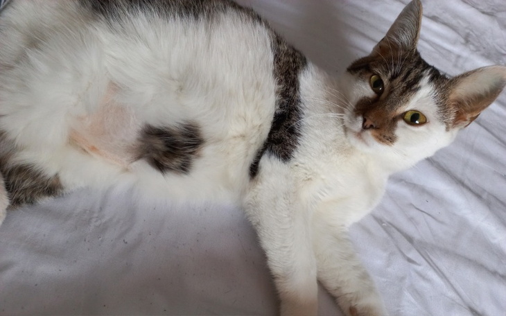 Zbiórka Dyzio walczy o życie - zdjęcie główne