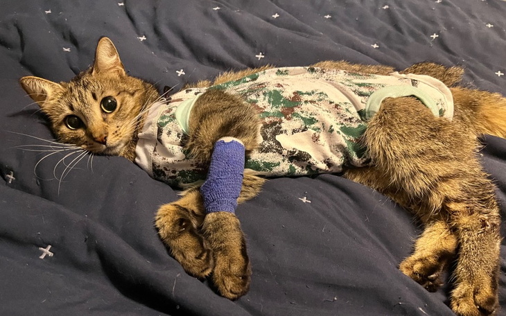 Zbiórka Pomóżmy Ragnarowi pokonać raka - zdjęcie główne