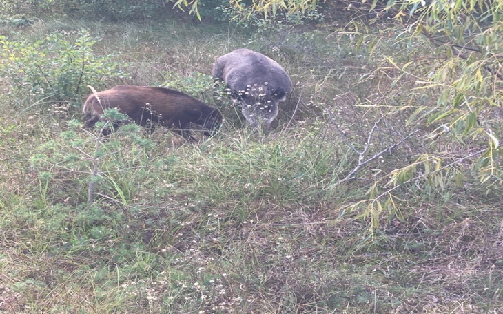 Zbiórka Nowe życie od 0 - zdjęcie główne