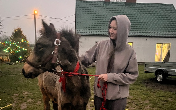 Młoda kobieta głaszcze konia na podwórku.