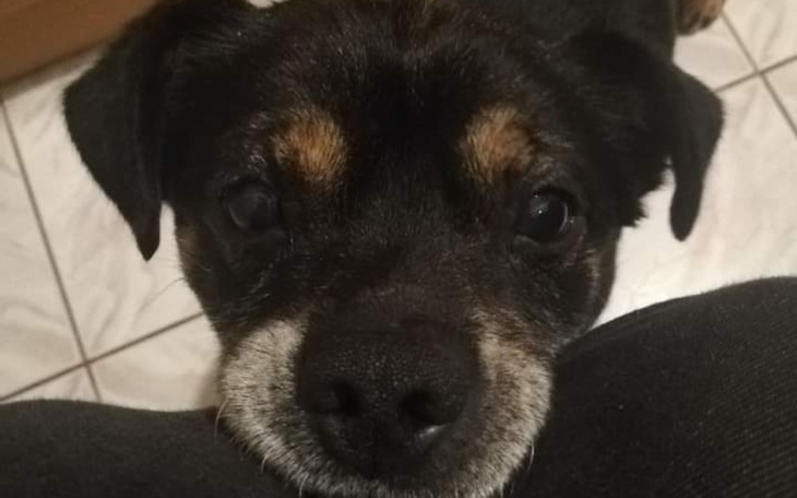 Zbiórka Na pomoc Kajtkowi - zdjęcie główne