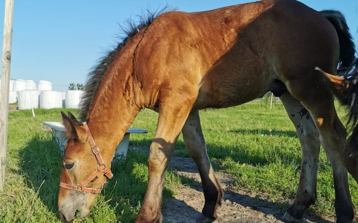 Zbiórka Oszukajmy przeznaczenie Largo - zdjęcie główne