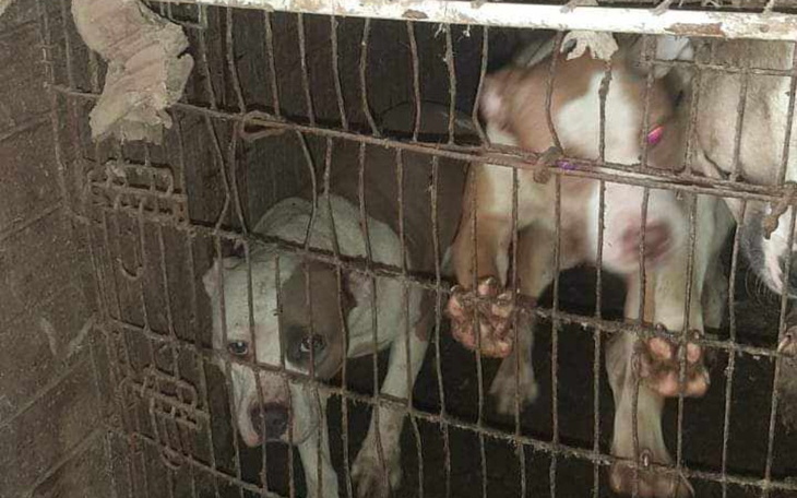 Zbiórka AN - 3 asty - zdjęcie główne