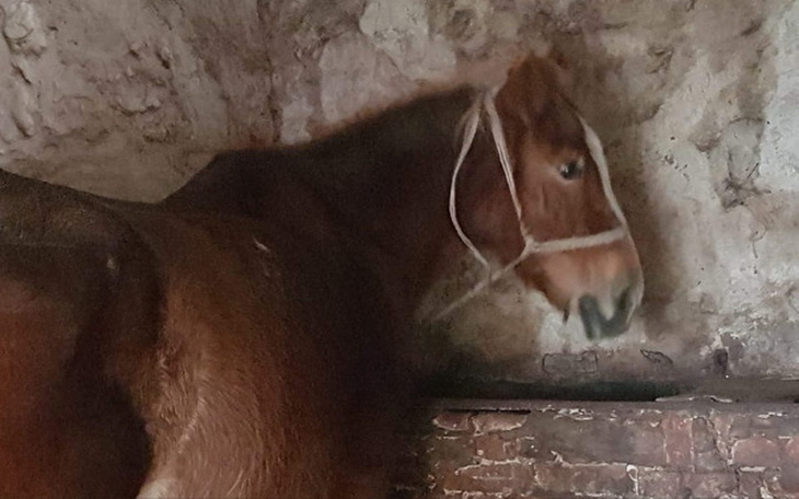 Zbiórka Uratuj Kasię. - zdjęcie główne