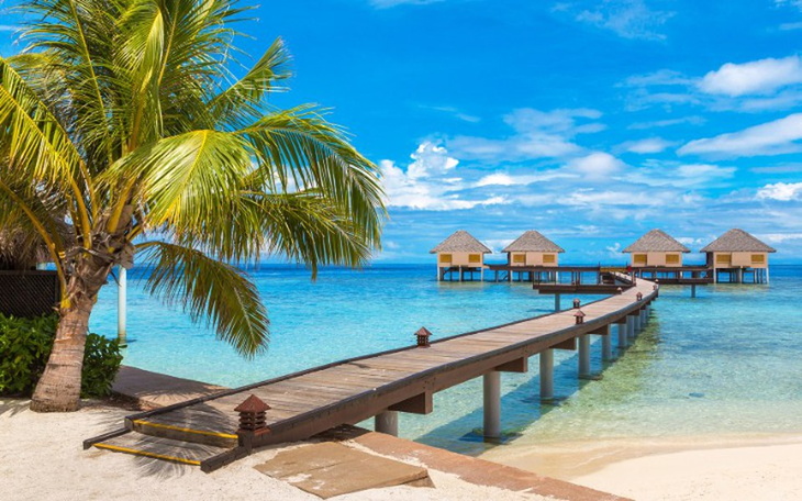 Zbiórka Ucieczka od dziewczyny - zdjęcie główne