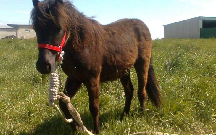 Zbiórka I za co ta śmierć Boże mój - zdjęcie główne