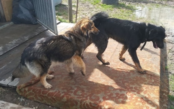 Zbiórka Kierunek lepsze życie - zdjęcie główne