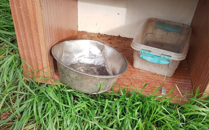 Zbiórka Zostaliśmy bez karmy - zdjęcie główne