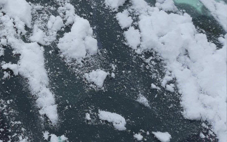 Zbiórka Napawa samochodu - zdjęcie główne