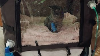 Zbiórka Klatka tlenowa - miniaturka zdjęcia