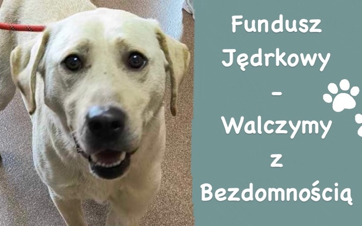 Zbiórka Jędrek sterylizuje - part 2 - zdjęcie główne