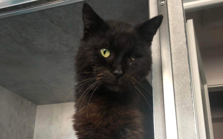 Zbiórka W poniedziałek na śnieg. - zdjęcie główne