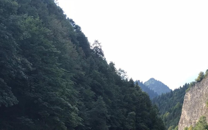 Zbiórka Pomoc dziadkowi i babci - zdjęcie główne