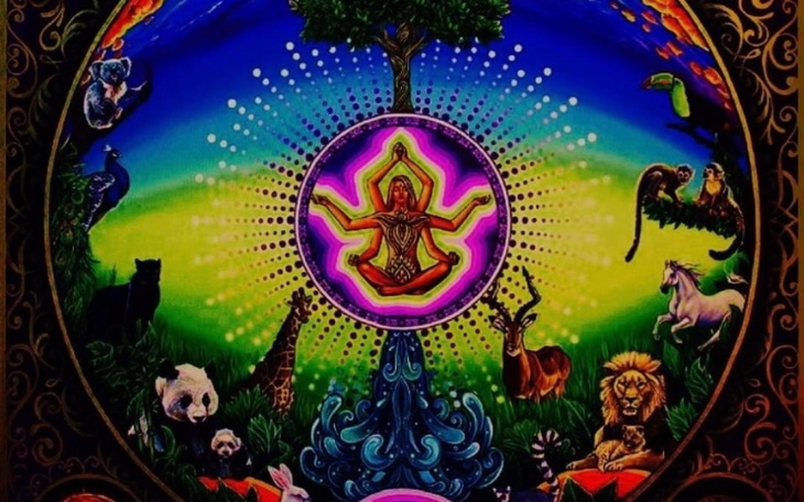 Zbiórka Wydanie książki i salonu AKASZY - zdjęcie główne