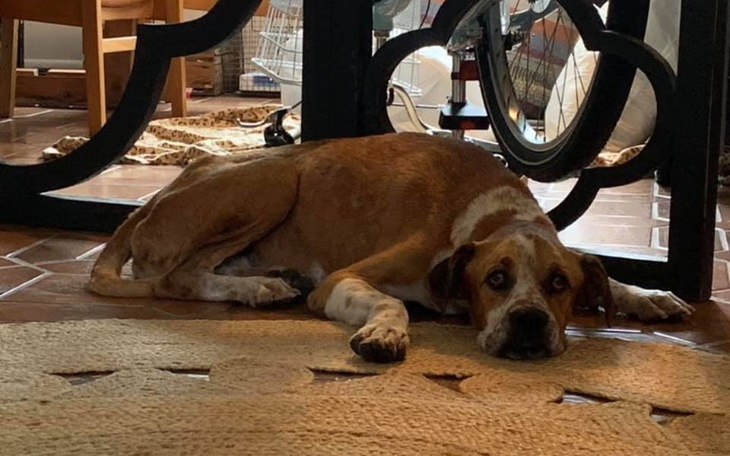 Zbiórka Pomóż Borysowi wygrać z rakiem - zdjęcie główne