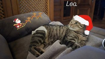 Zbiórka Mikołajki w Przybij Piątkę! - miniaturka zdjęcia