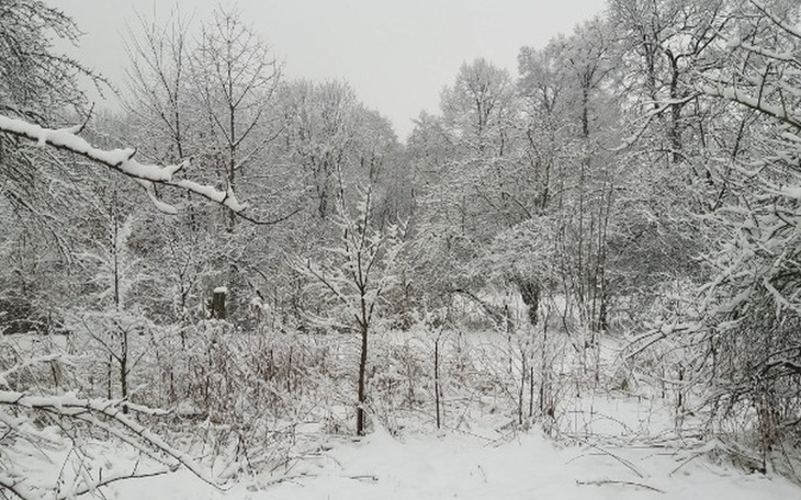 Zbiórka Lepsze dziś i jutro - zdjęcie główne
