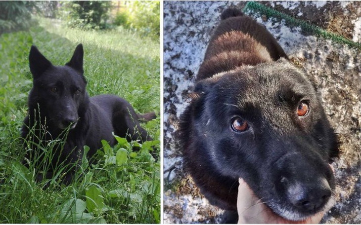 Zbiórka BRUNO był TARCZĄ do STRZELANIA - zdjęcie główne