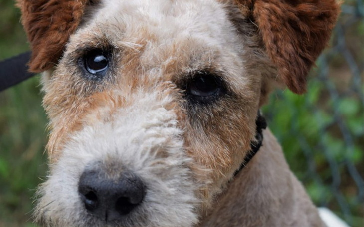 Zbiórka Za stary na zdrowe życie? - zdjęcie główne