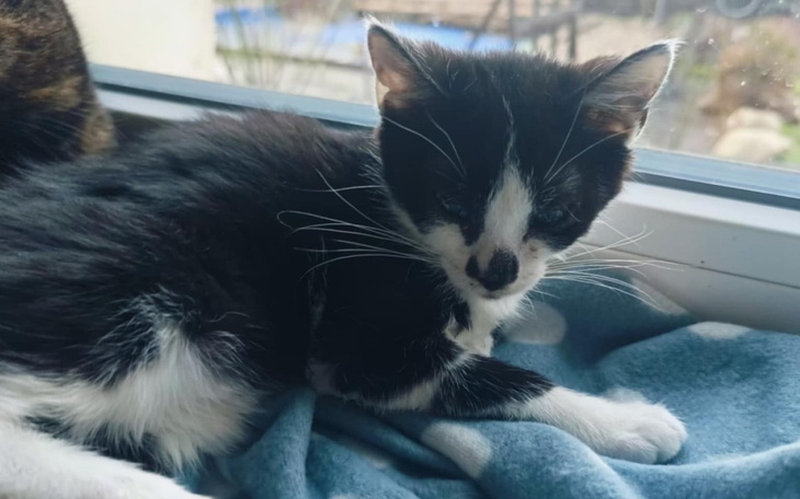 Zbiórka Dalszy ciąg koszmaru - zdjęcie główne