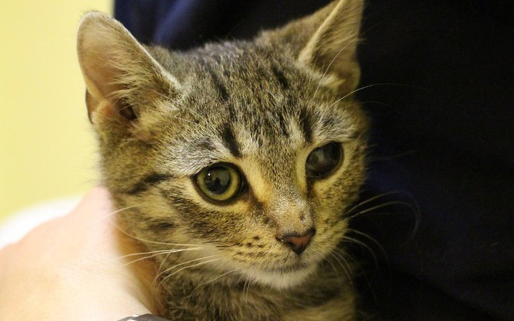 Zbiórka Szczęściarz - o włos od śmierci - zdjęcie główne