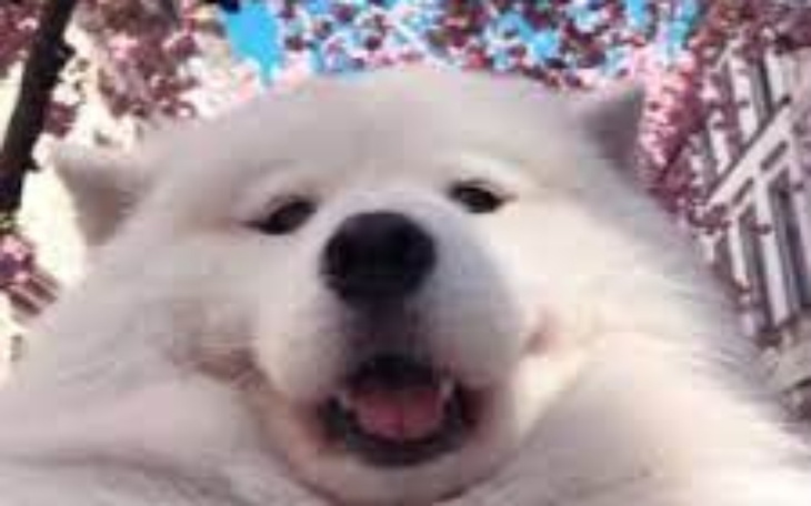 Zbiórka Trip z ekipa B - zdjęcie główne