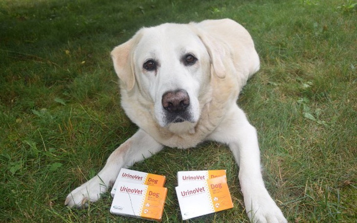 Zbiórka Walka Gordona o więcej dni życia - zdjęcie główne