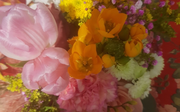 Zbiórka Pomóżmy Beacie skończyć studia. - zdjęcie główne