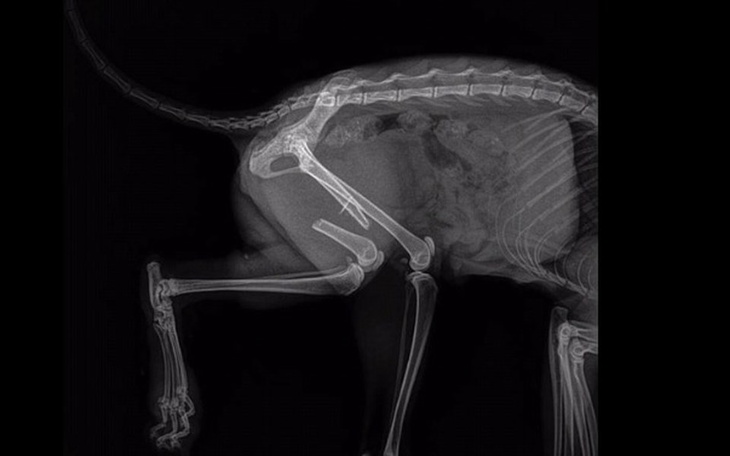 Zbiórka Tydzień z otwartym złamaniem! - zdjęcie główne