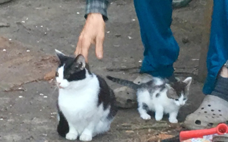 Zbiórka Bezdomność nie jedno ma imię... - zdjęcie główne