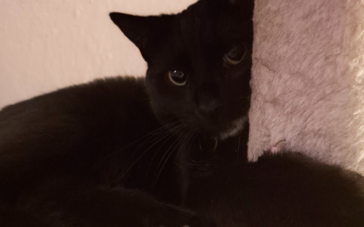 Zbiórka Na przeprowadzkę i życie - zdjęcie główne