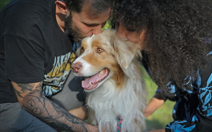 Zbiórka Runo walczy z chłoniakiem - zdjęcie główne