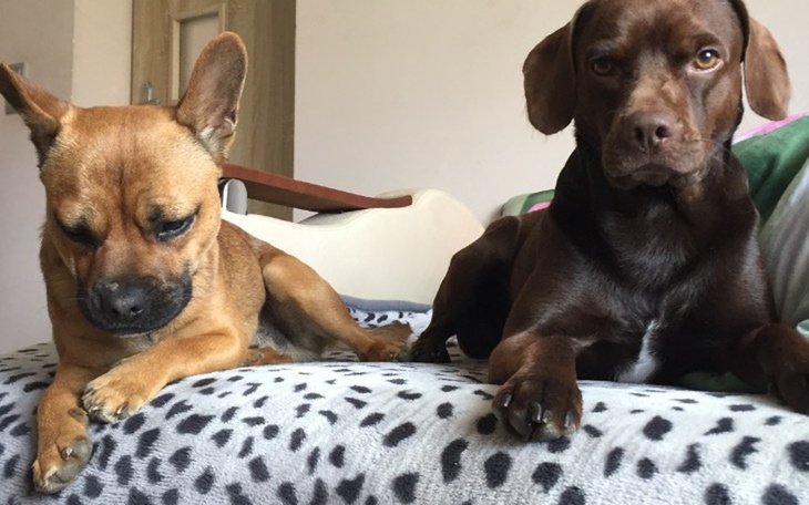 Zbiórka Dla lekarzy 2020 - zdjęcie główne