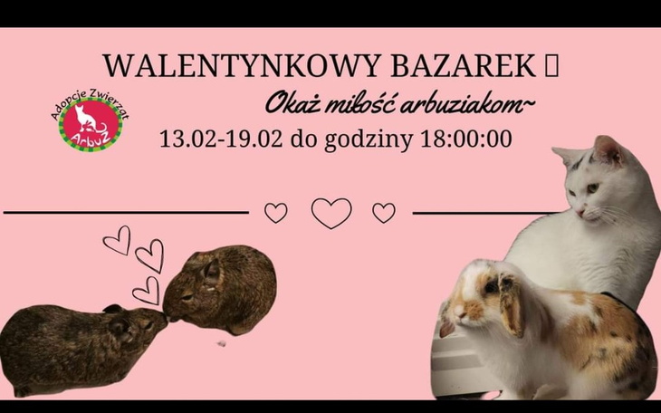 Zbiórka Walentynkowy Bazarek ArbuZa - zdjęcie główne