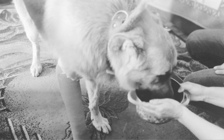 Zbiórka Pomoc w opłaceniu faktury - zdjęcie główne