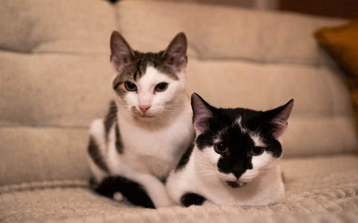 Zbiórka Bez granic - zdjęcie główne