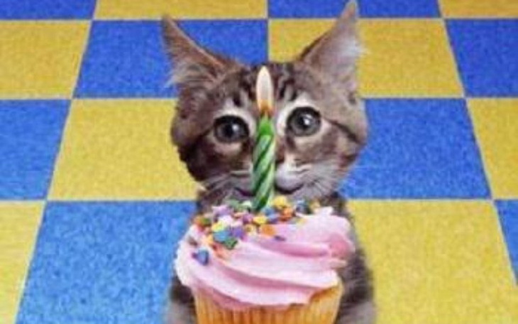 Zbiórka Urodzinowa II - zdjęcie główne