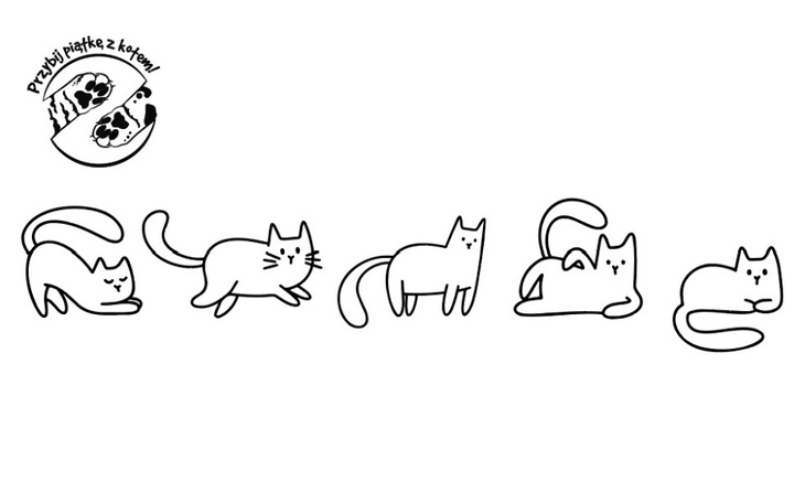 Zbiórka Przybij 5 z kotem - zdjęcie główne