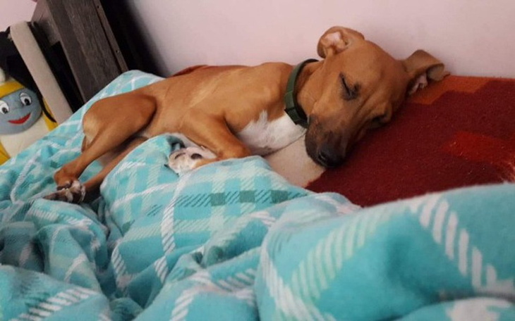 Zbiórka Operacje dla tosie - zdjęcie główne