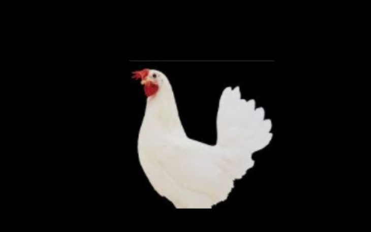 Zbiórka Na odwyk dla Krzycha - zdjęcie główne